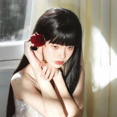 侠盗正传